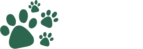 Juni and Ivy logo