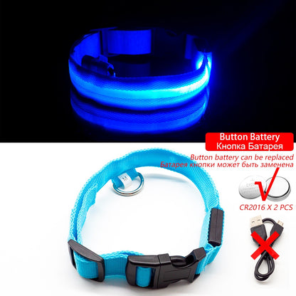 USB Charging LED Dog Collar