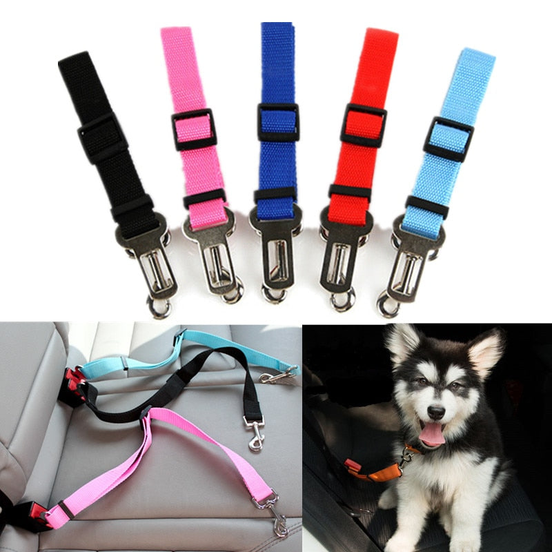 Seatbelt Secured Car Leash