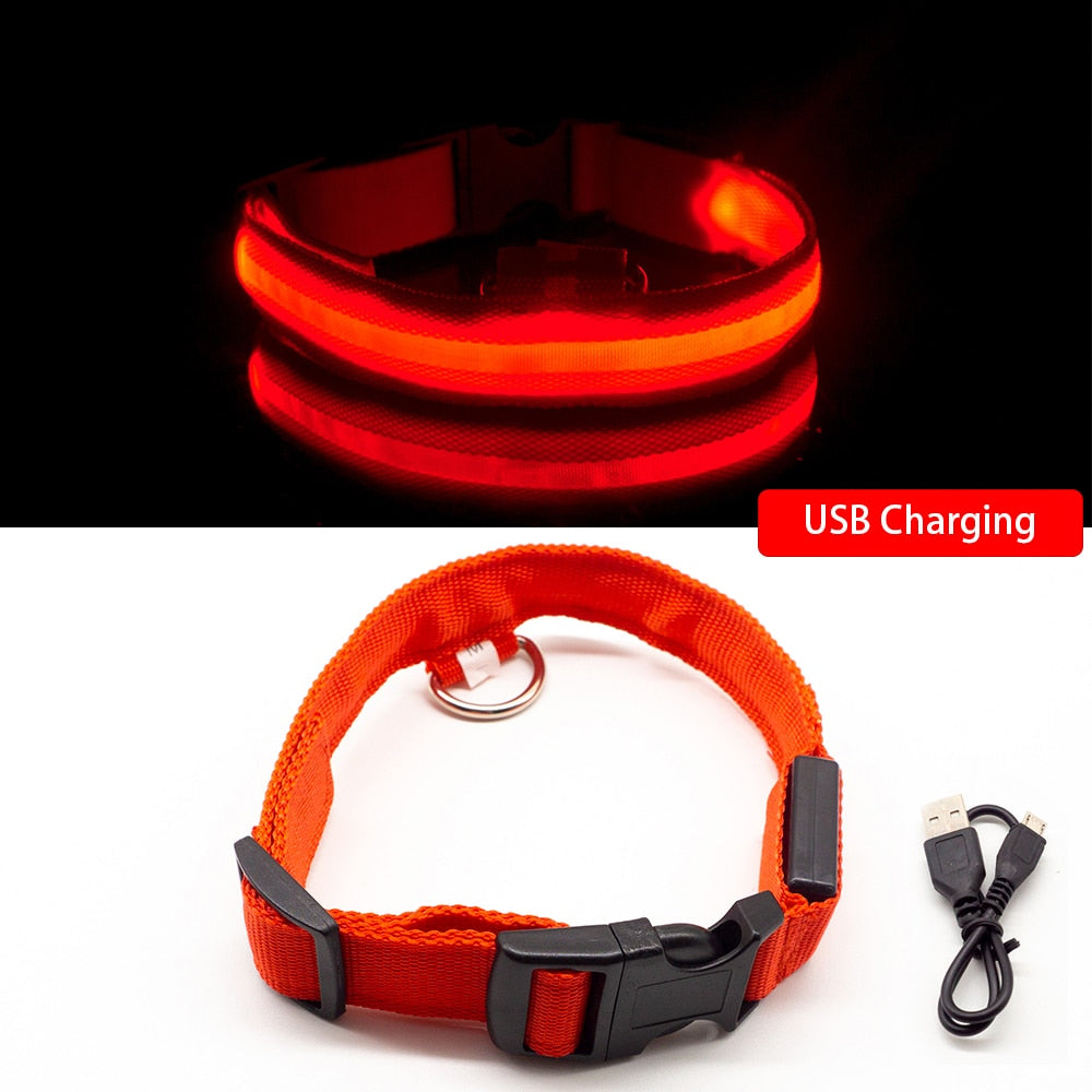 USB Charging LED Dog Collar