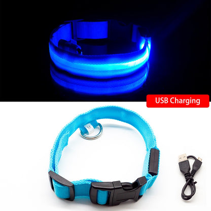 USB Charging LED Dog Collar