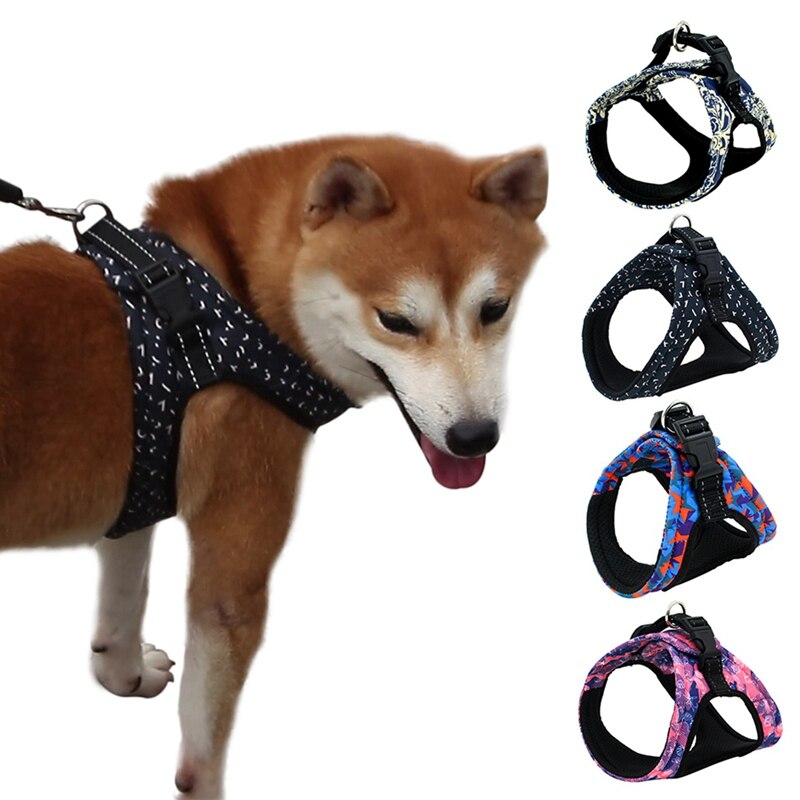 Cute Pet Harness