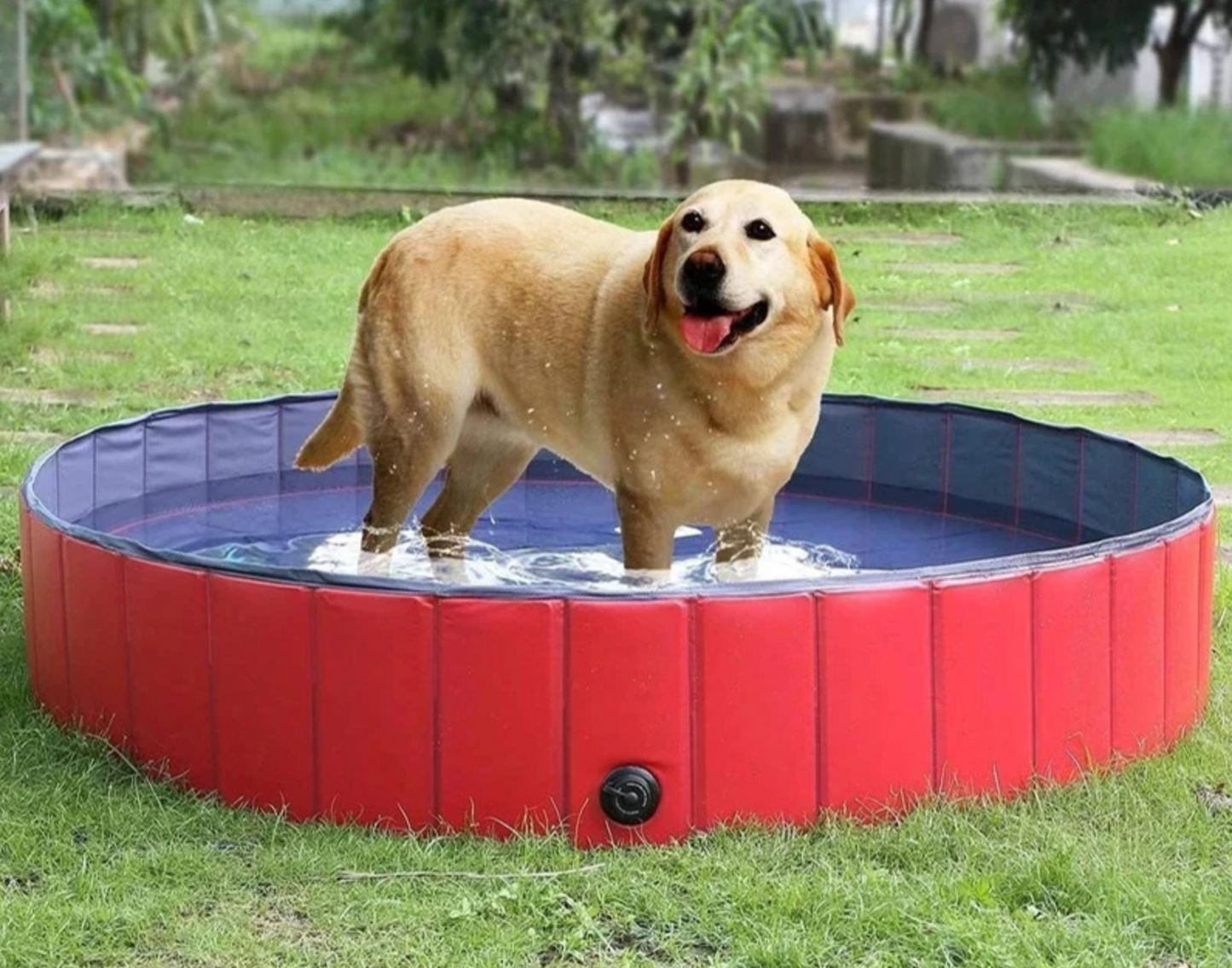 Foldable Swimming Pool for Swim & Bath