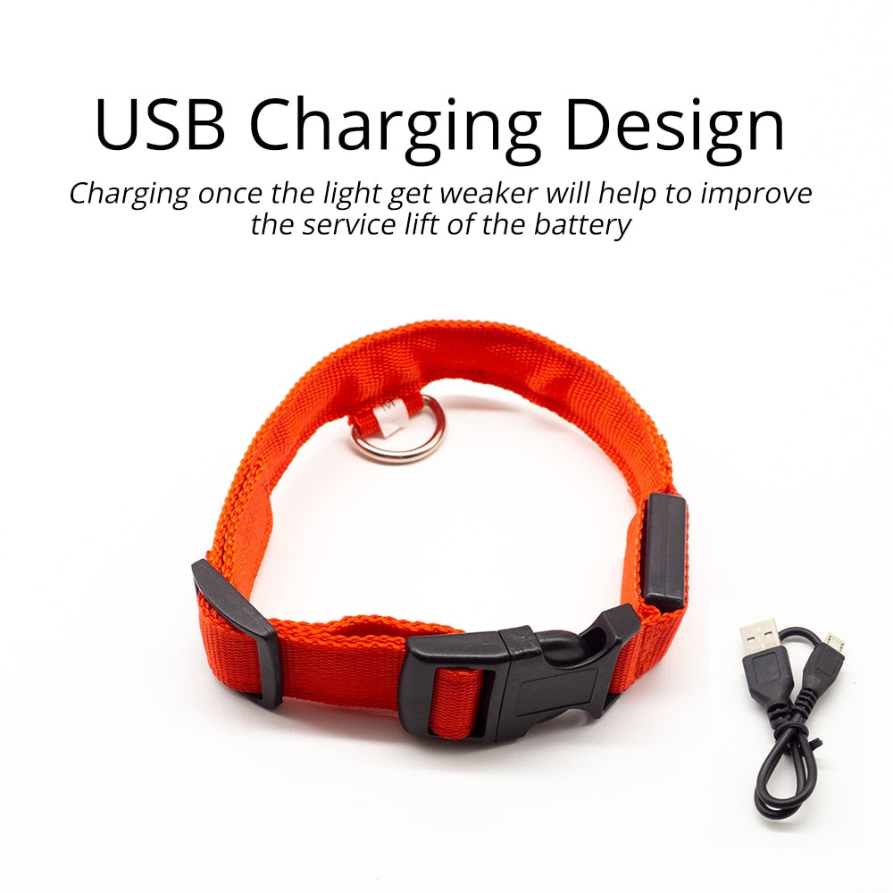 USB Charging LED Dog Collar